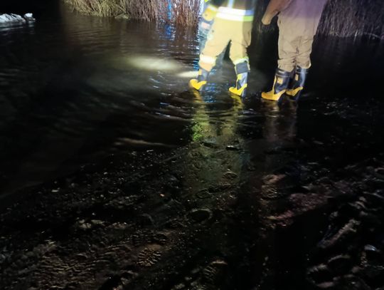 178 druhów na pierwszej linii