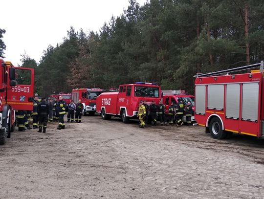 90 strażaków gasiło las