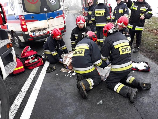 Amerykańscy żołnierze rozbili się na drzewie