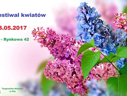 Festiwal Kwiatów na pilskim targowisku