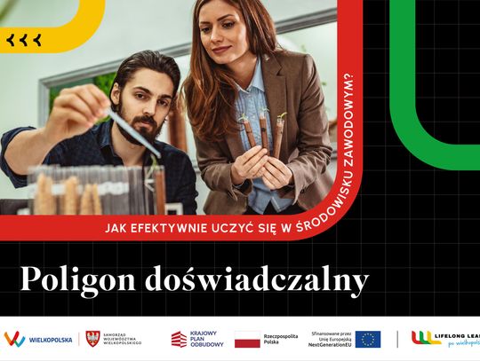 Jak efektywnie uczyć się w środowisku zawodowym?