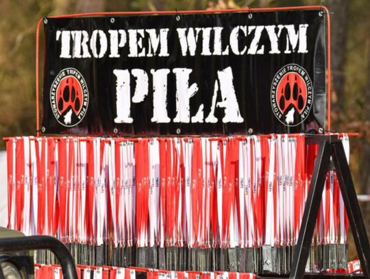 Jubileuszowy X Bieg  Wilczym Tropem w Pile - zagrożony...