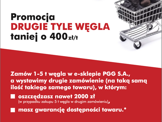 Kiedy kupić węgiel?