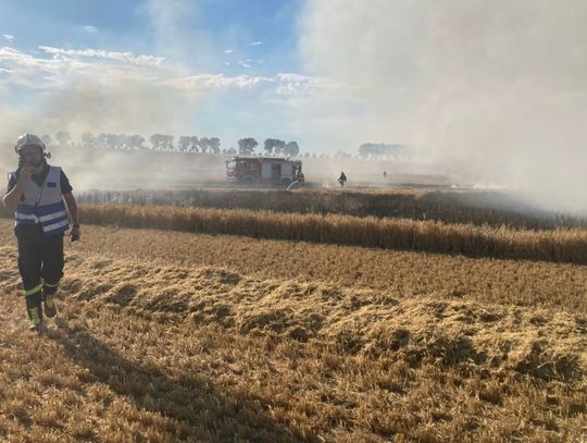 Kilkanaście hektarów zboża w ogniu