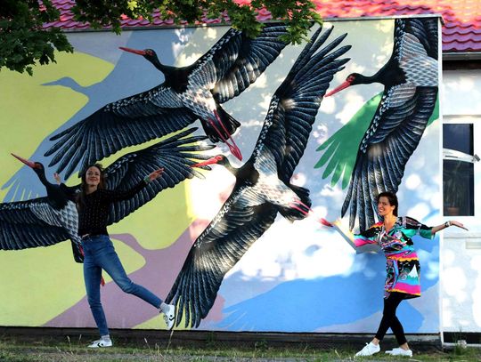 Mural gotowy! The Anias ponownie zachwyciły!