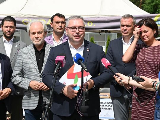 Nie ma lepszych przyjaciół jak psy i koty