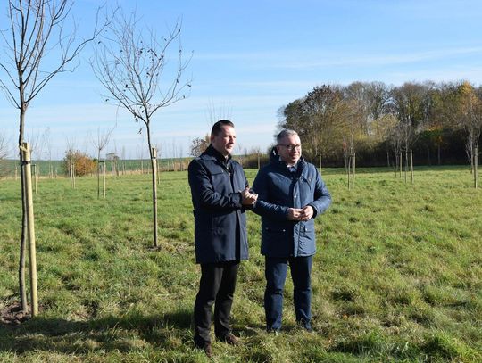 Nowy Dwór bliżej natury