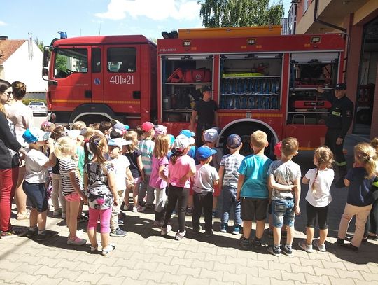 Ostrzegają i edukują