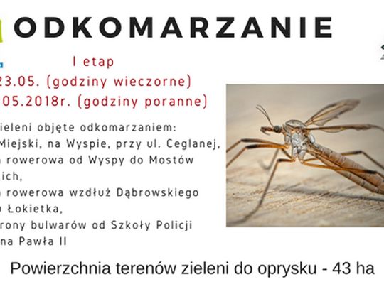 Piła walczy z komarami 