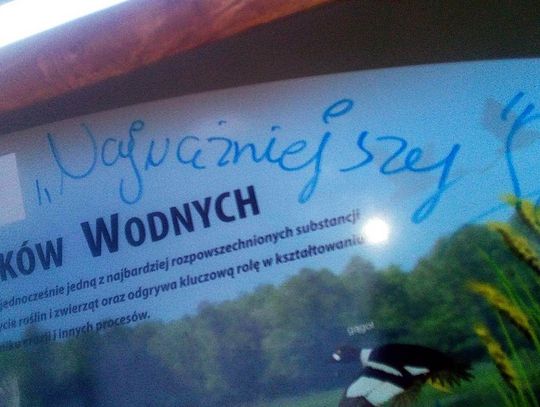 Policja z Wyrzyska, Piły i Wągrowca  szuka chuliganów! 