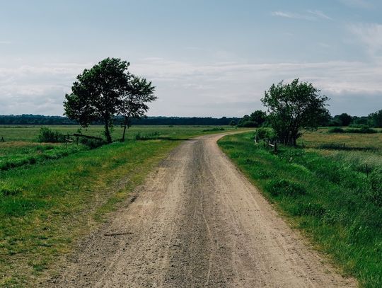 Ponad 22 mln zł na drogi, drzewa i zbiorniki wod-ne