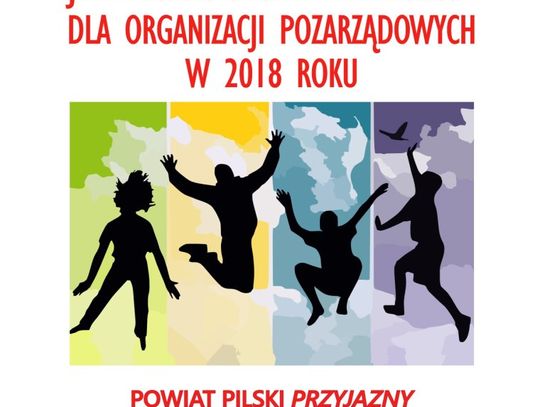 Powiat dla organizacji pozarządowych