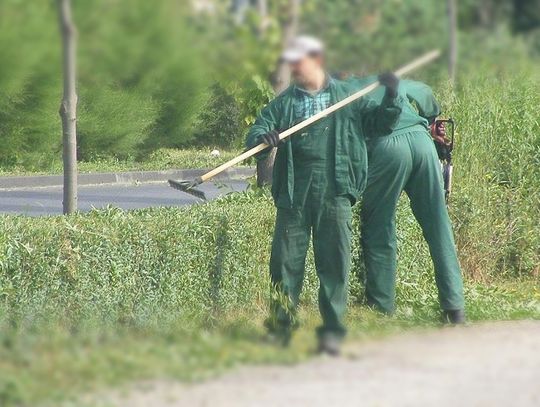 Praca jest,  fachowców brak?