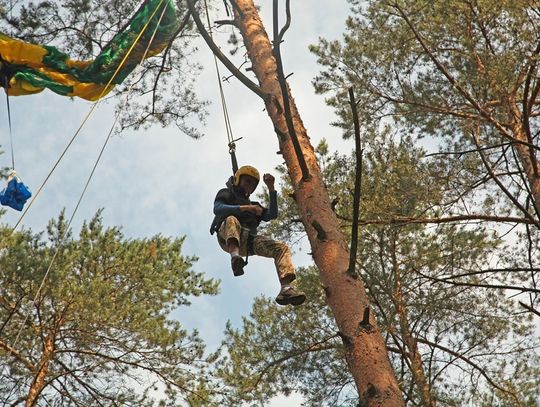 Spadochroniarz zawisł na drzewie