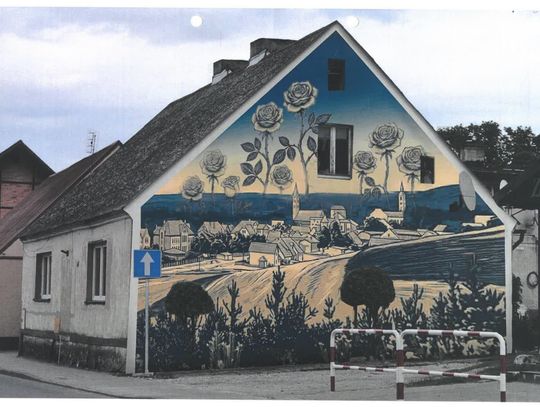 Tor przeszkód czy murale? Altany czy zielona klasa? Mieszkańcy wybiorą!
