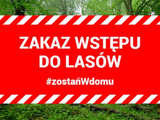 Tymczasowy zakaz wstępu do lasów i Parków Narodowych