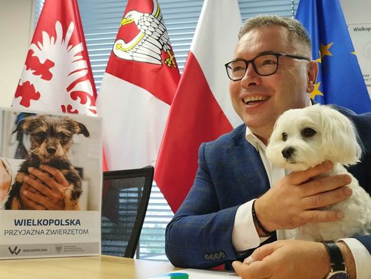 „Wielkopolska Przyjazna Zwierzętom" - rusza kolejna edycja programu ochrony zwierząt