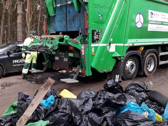 Wspólnie sprzątanie lasu na osiedlu Górnym