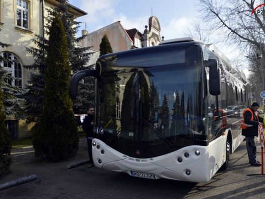 Wyniki ankiety nt. komunikacji miejskiej w Złotowie