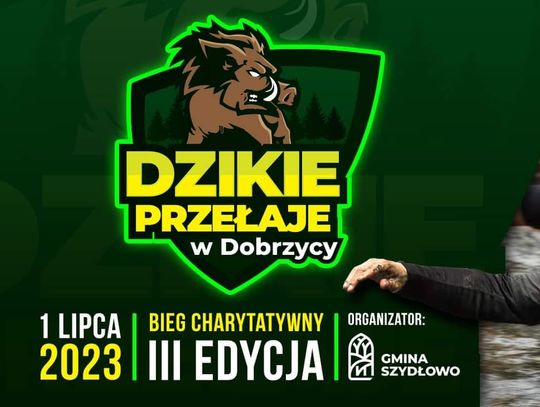 Zapraszamy do Dobrzycy - będzie się działo!