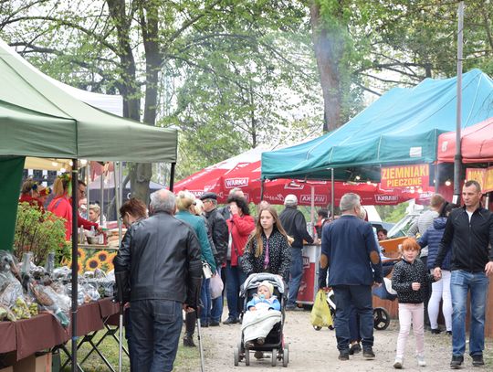 Zjechali wystawcy: Ogród i piknik