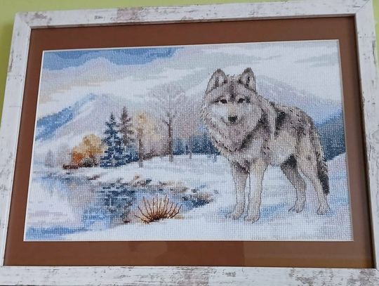 Złotowianie „Na szczycie”