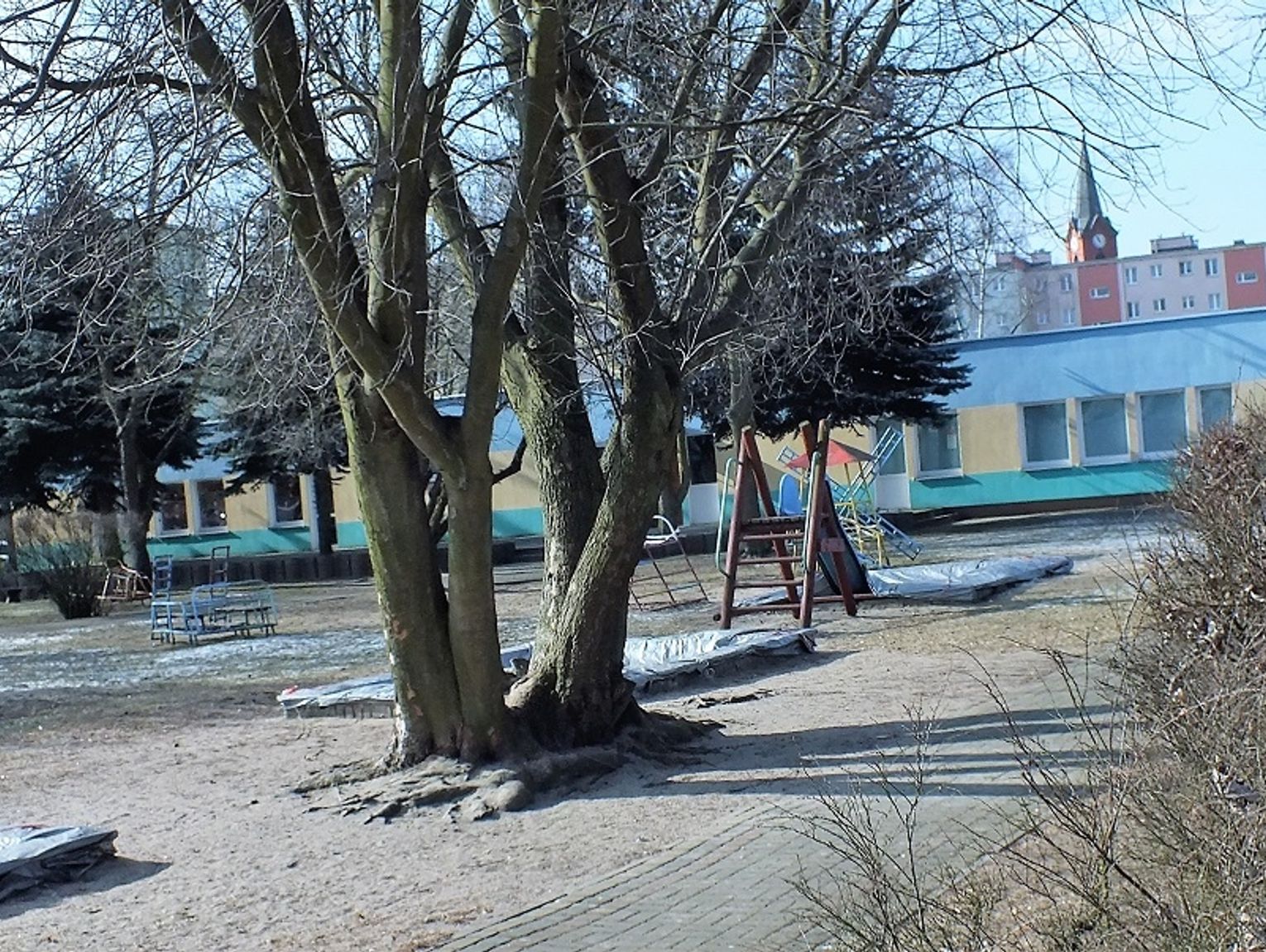 Idzie Ola do przedszkola
