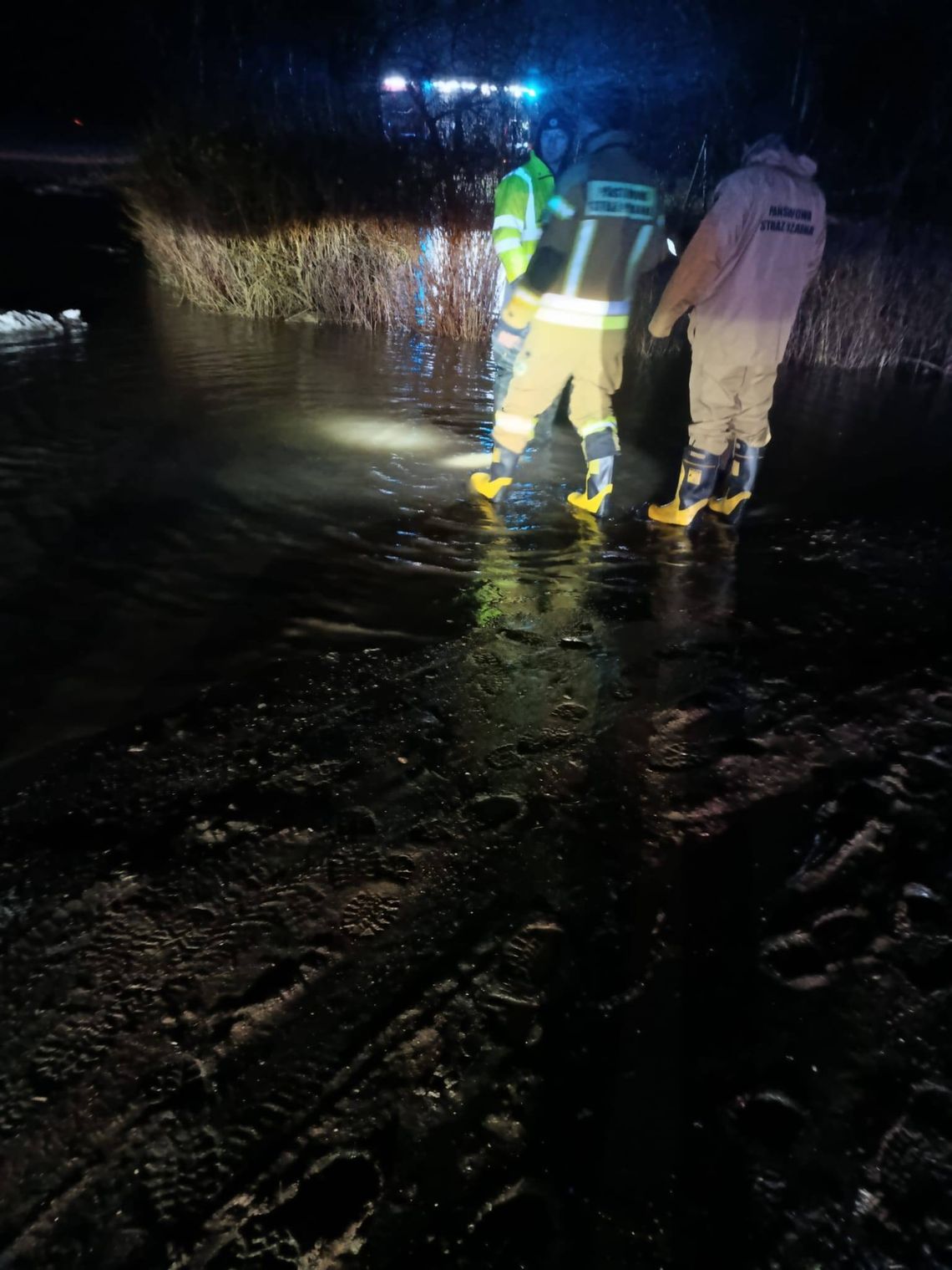 178 druhów na pierwszej linii