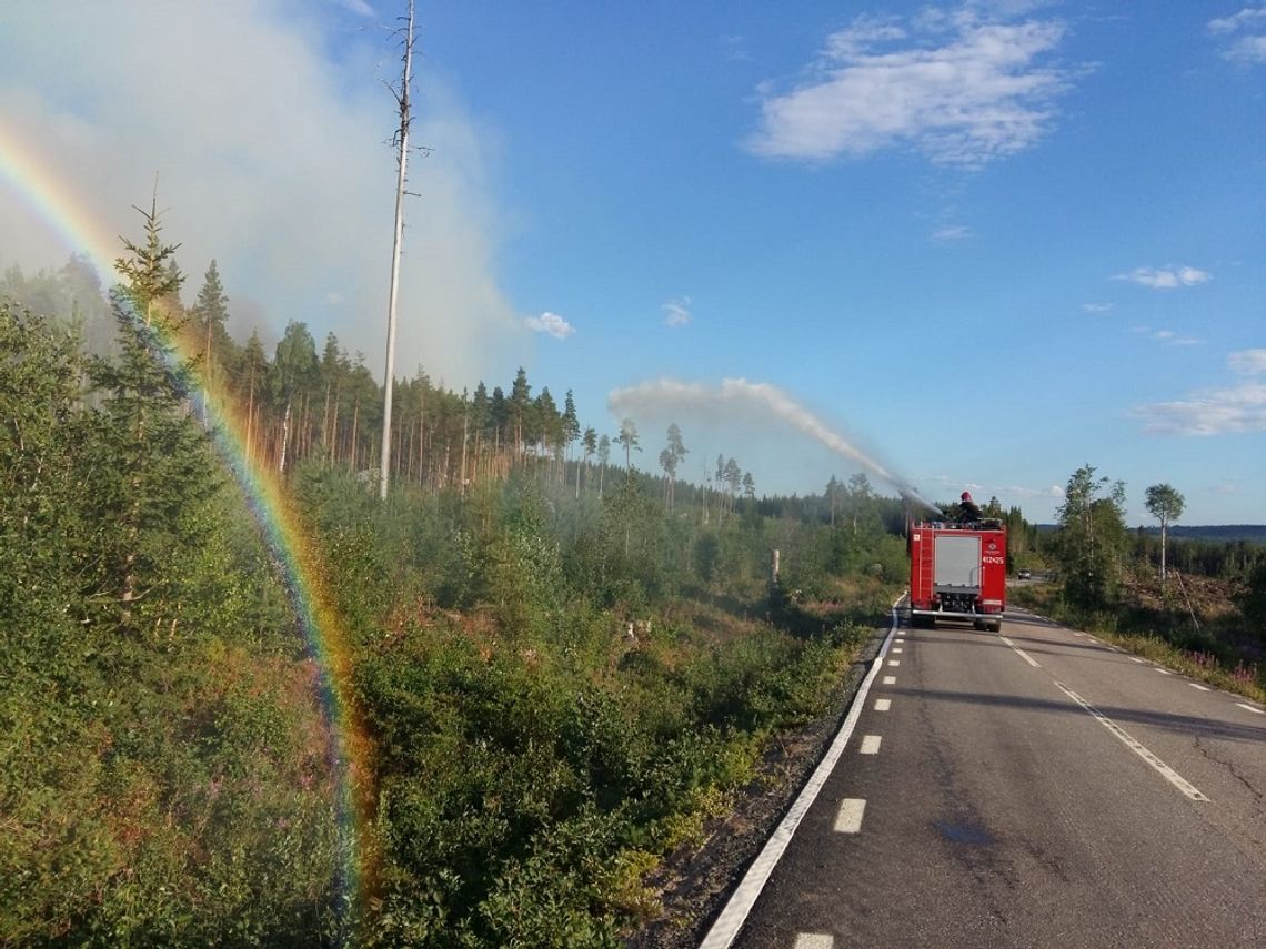 Chodziescy strażacy gaszą pożary w Szwecji