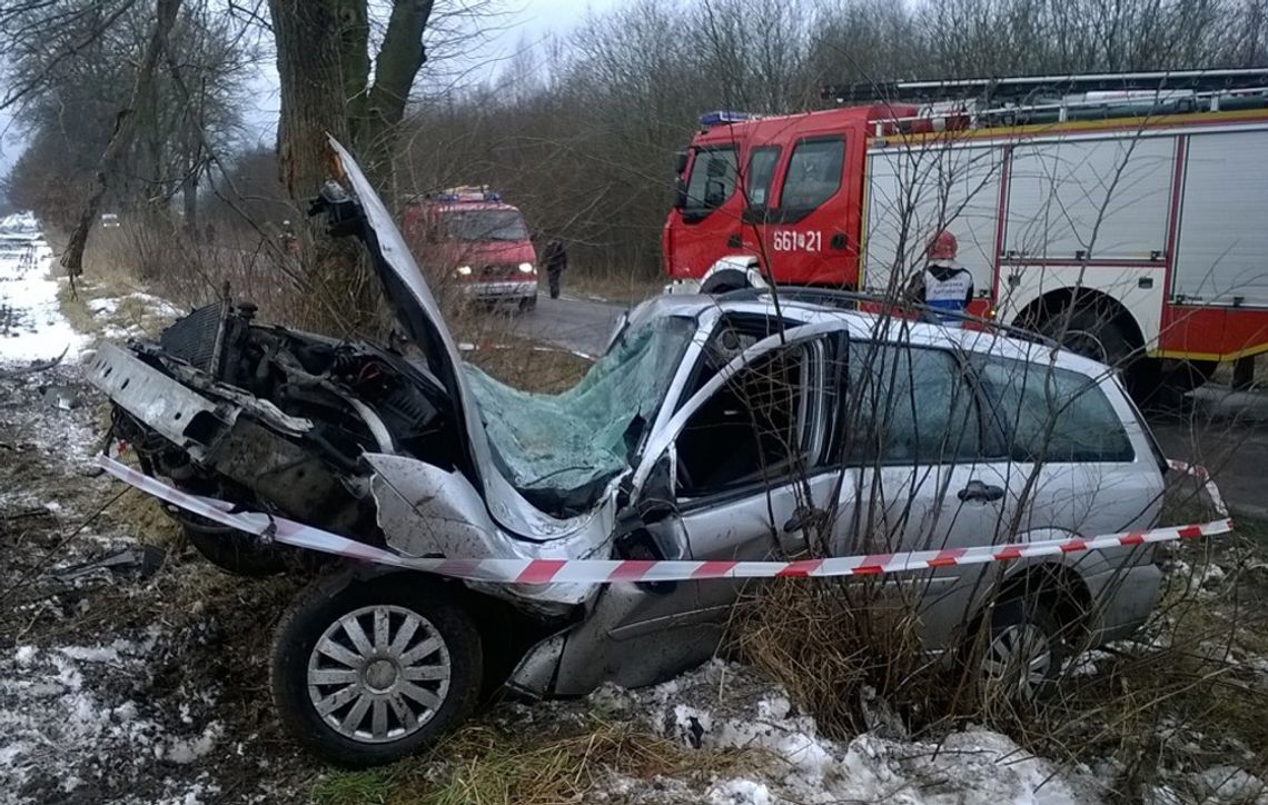 Dachowanie w okolicy Zawilców: za kierownicą 19-latek 