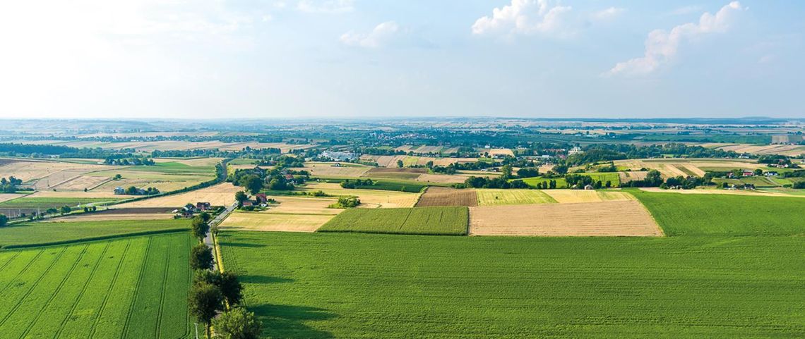 Dzierżawa rolnicza. Nowy etap prac