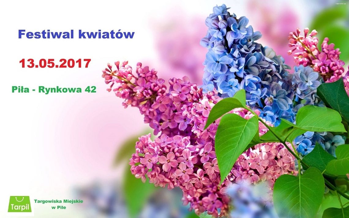 Festiwal Kwiatów na pilskim targowisku