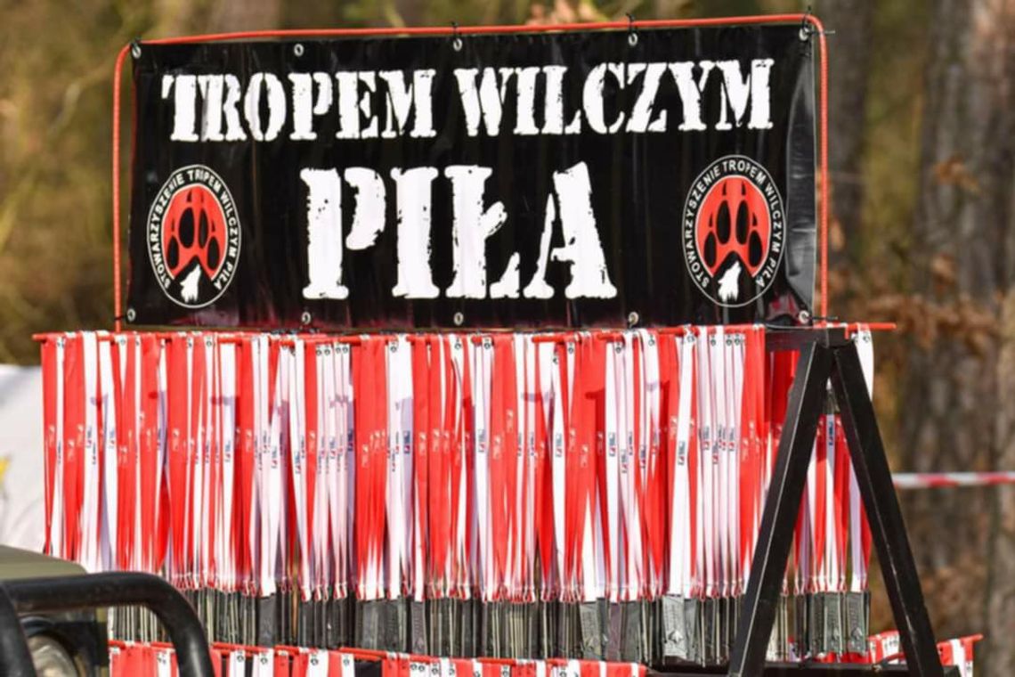 Jubileuszowy X Bieg  Wilczym Tropem w Pile - zagrożony...