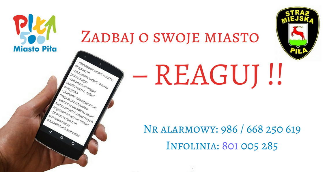 Nie dokarmiać szczurów