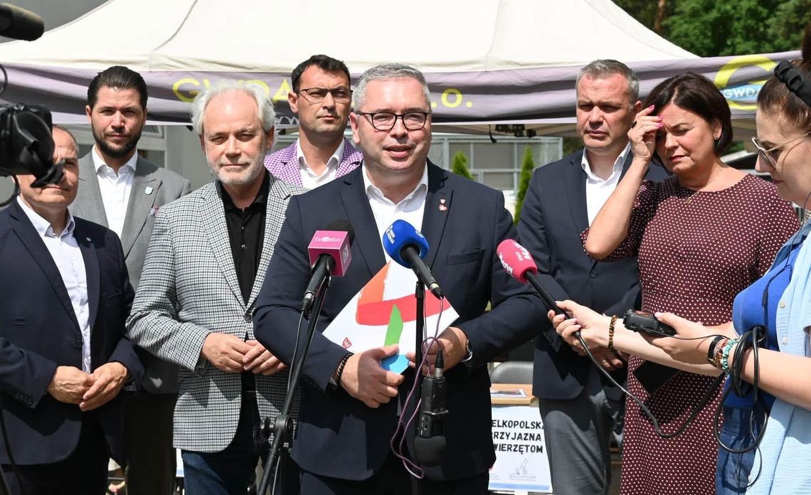 Nie ma lepszych przyjaciół jak psy i koty