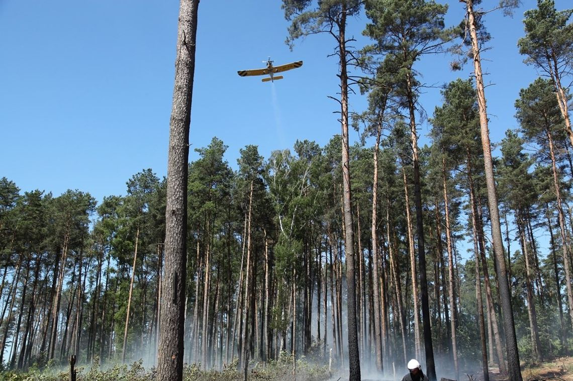 Ogień w lesie, samoloty gaśnicze w okolicach Starej Łubianki