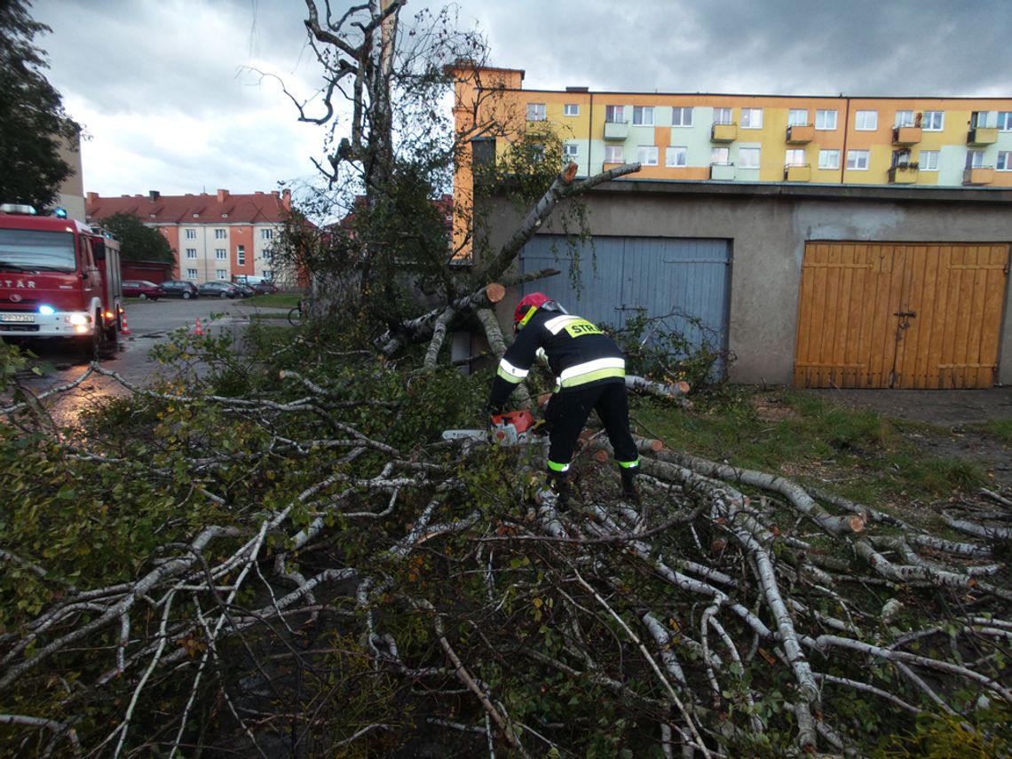 Powiało nad powiatem pilskim: podsumowanie działań strażaków 