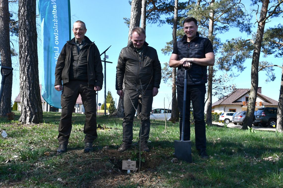 Symbol trwałości i silnych więzi