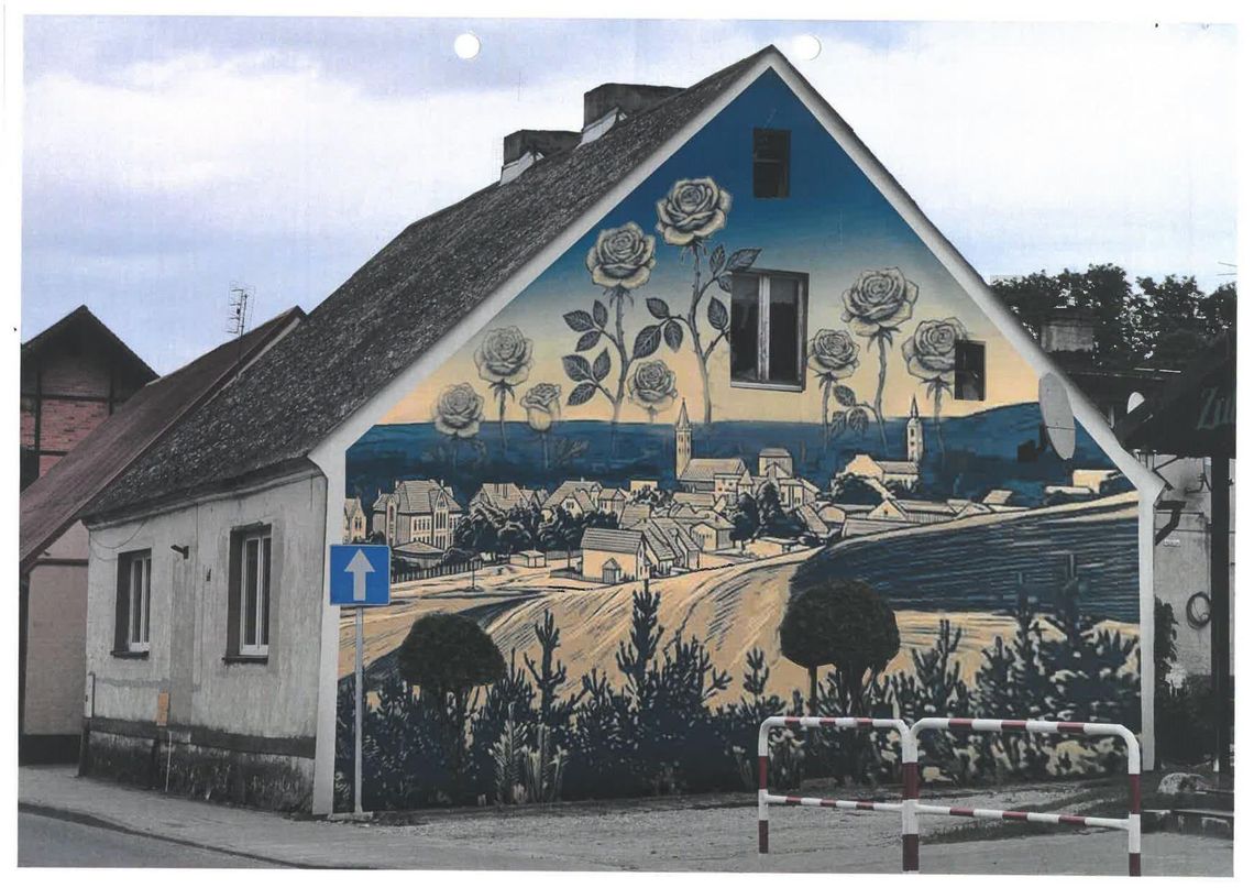 Tor przeszkód czy murale? Altany czy zielona klasa? Mieszkańcy wybiorą!
