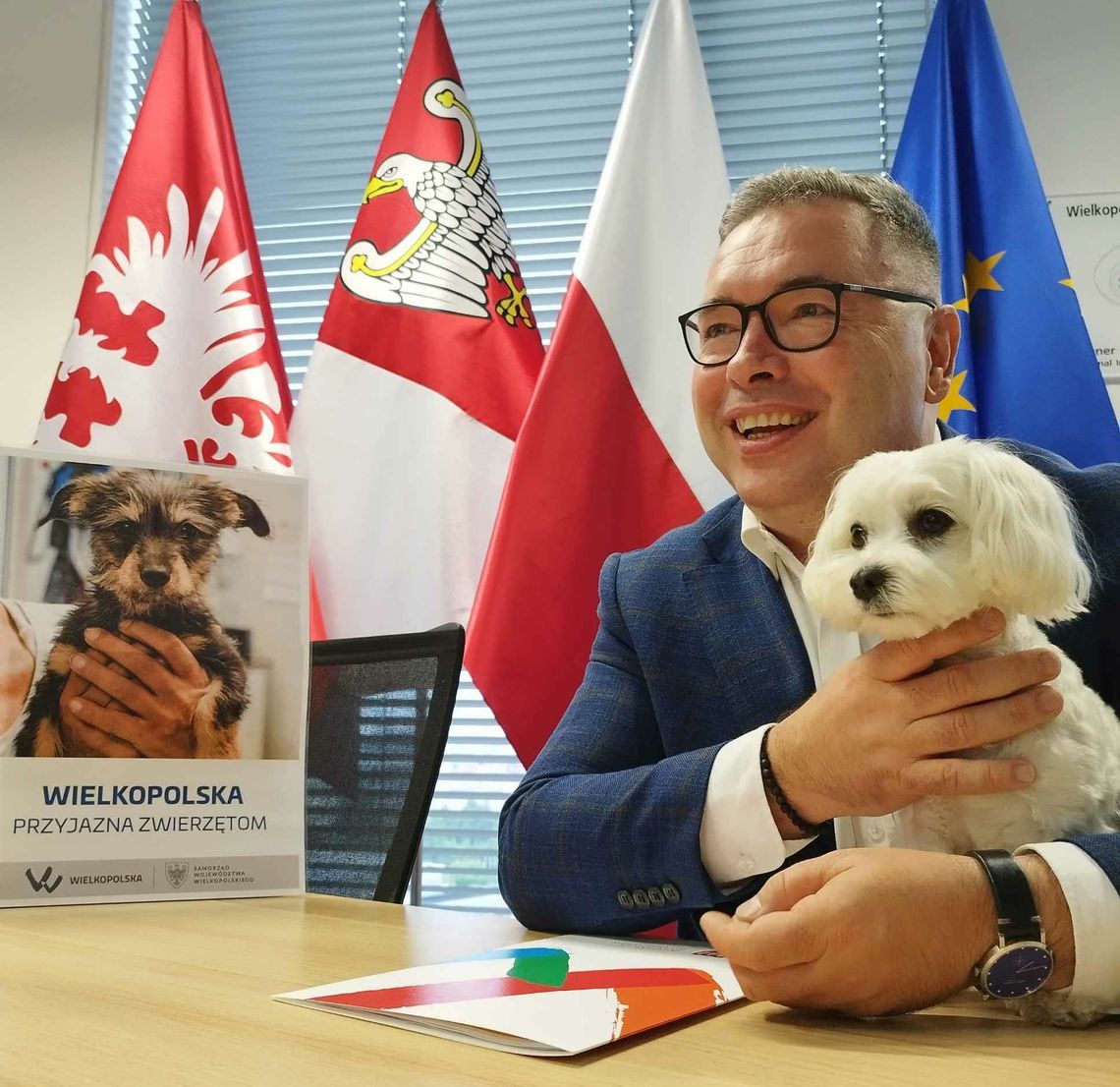 „Wielkopolska Przyjazna Zwierzętom" - rusza kolejna edycja programu ochrony zwierząt