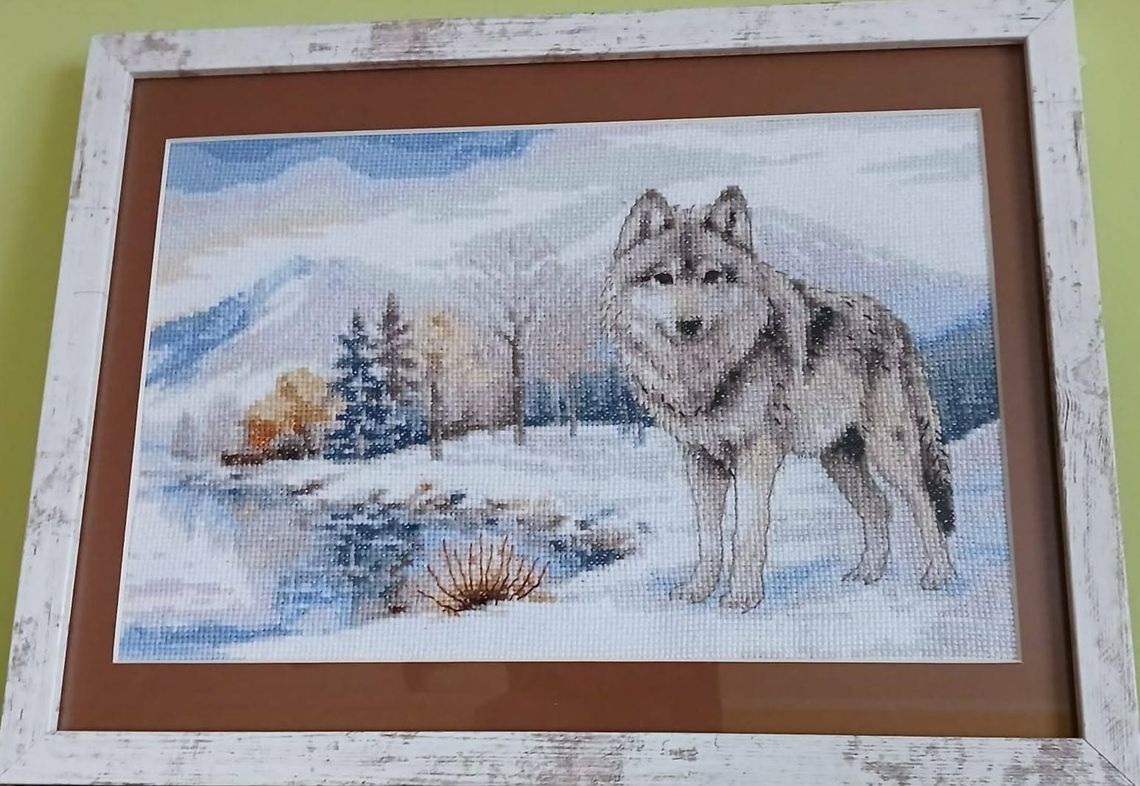 Złotowianie „Na szczycie”