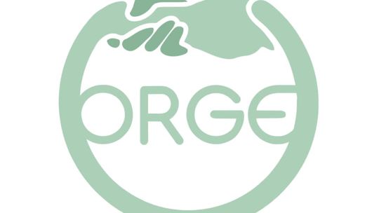 Psychiatra Poznań - ORGE Psychiatria